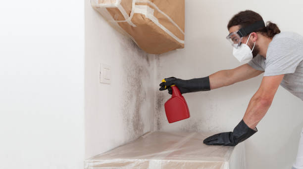 Professional Crawl Space Mold Removal technician working in Reinholds, PA