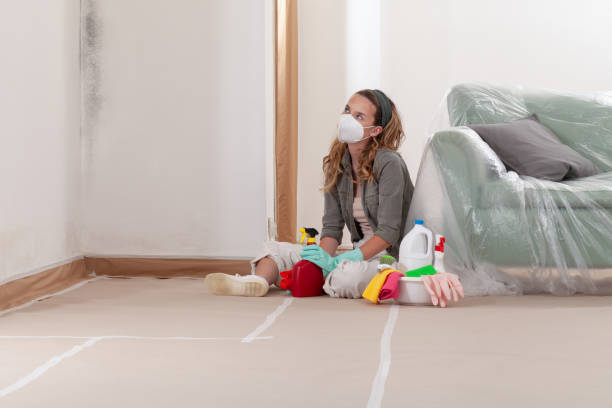 Reliable Crawl Space Mold Removal contractor in Reinholds, PA by WQB Mold Removal