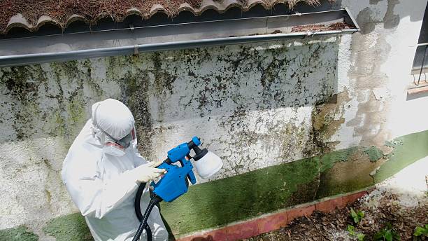 Top rated local Crawl Space Mold Removal specialists in Reinholds, PA